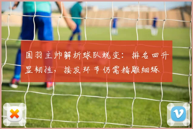 国羽主帅解析球队蜕变：排名回升显韧性，接发环节仍需精雕细琢