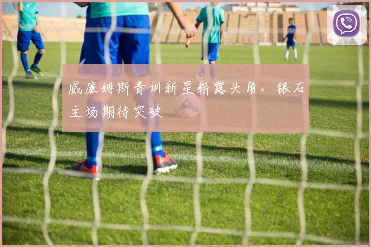 威廉姆斯青训新星崭露头角，银石主场期待突破