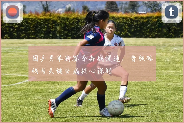 国乒男单新赛季备战提速，晋级路线与关键分成核心课题