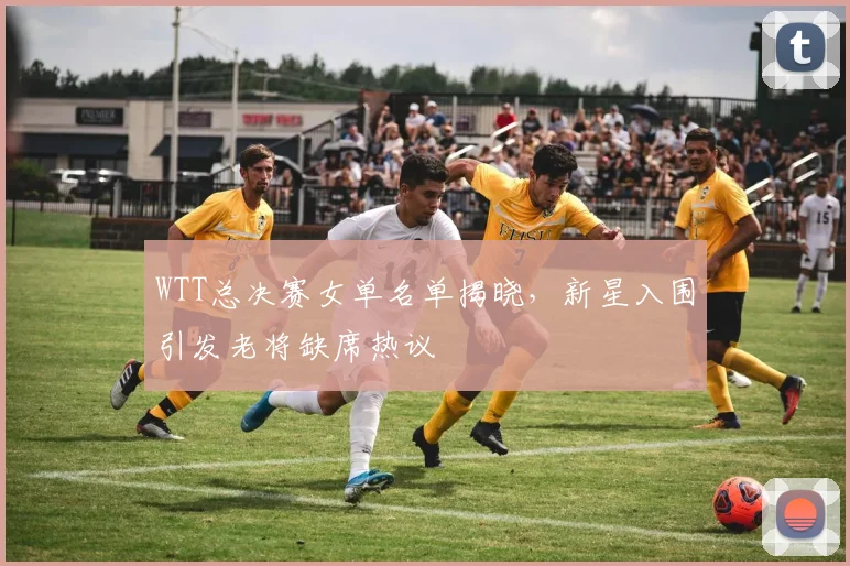 WTT总决赛女单名单揭晓，新星入围引发老将缺席热议